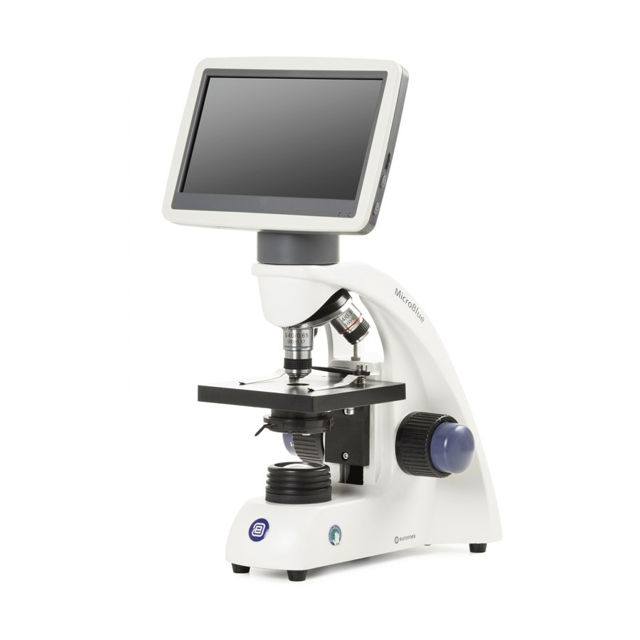 MB.1001-LCD_2022